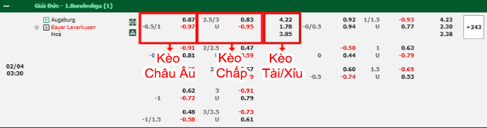 bảng kèo trận đấu Augsburg vs Leverkusen