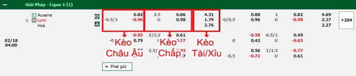 bảng kèo trận đấu Auxerre vs Lyon