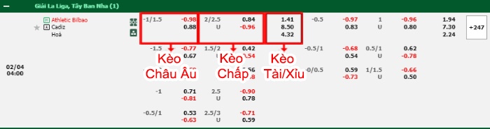 bảng kèo trận đấu Bilbao vs Cadiz