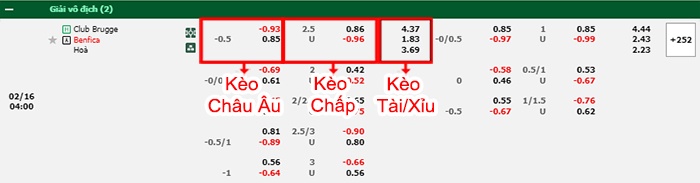 bảng kèo trận đấu Club Brugge vs Benfica