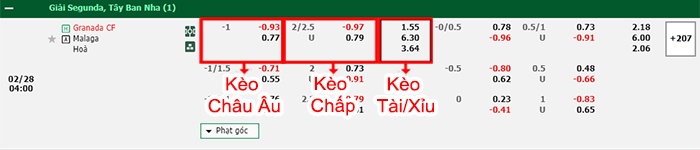 bảng kèo trận đấu Granada vs Malaga
