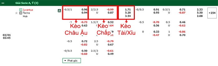 bảng kèo trận đấu Juventus vs Torino