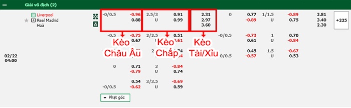 bảng kèo trận đấu Liverpool vs Real Madrid