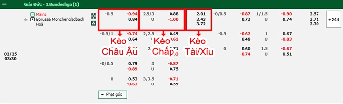 bảng kèo trận đấu Mainz vs Monchengladbach