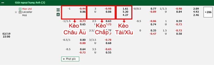 bảng kèo trận đấu Man United vs Leicester