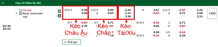 bảng kèo trận đấu Monaco vs Leverkusen