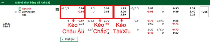 bảng kèo trận đấu Norwich vs Birmingham