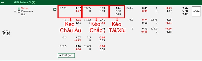bảng kèo trận đấu Torino vs Cremonese