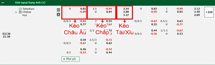 bảng kèo trận đấu Tottenham vs Chelsea
