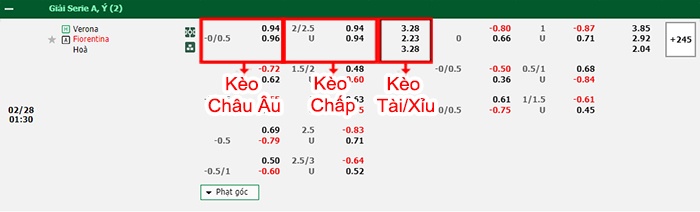 bảng kèo trận đấu Verona vs Fiorentina