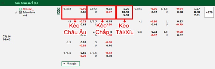 bảng kèo trận đấu AC Milan vs Salernitana