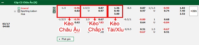 bảng kèo trận đấu Arsenal vs Sporting Lisbon