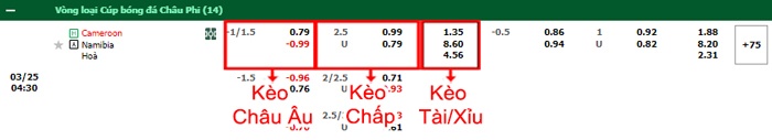 bảng kèo trận đấu Cameroon vs Namibia