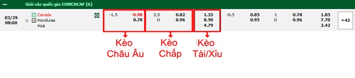 bảng kèo trận đấu Canada vs Honduras