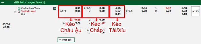bảng kèo trận đấu Cheltenham Town vs Sheffield Wed