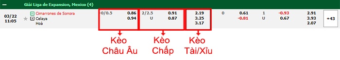 bảng kèo trận đấu Cimarrones Sonora vs Celaya