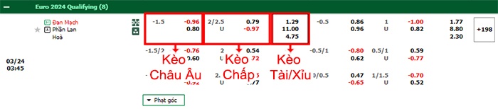 bảng kèo trận đấu Đan Mạch vs Phần Lan