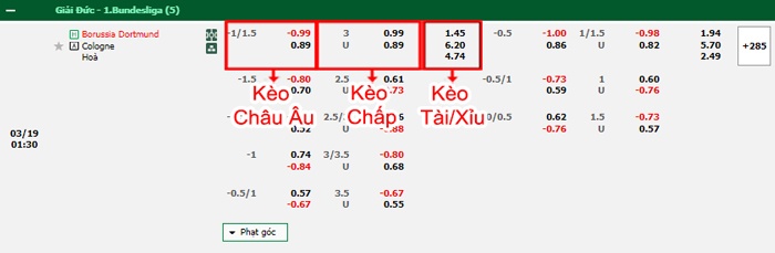bảng kèo trận đấu Dortmund vs Cologne