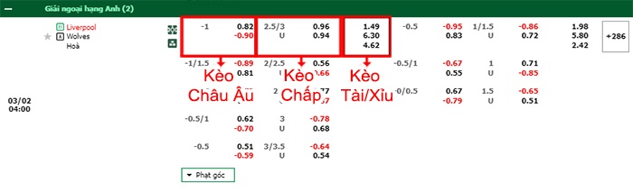 bảng kèo trận đấu Liverpool vs Wolves