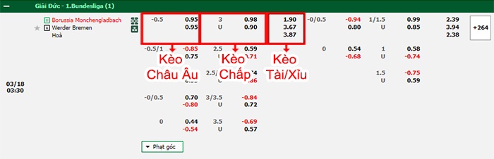 bảng kèo trận đấu M'gladbach vs Bremen