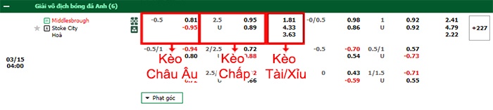 bảng kèo trận đấu Middlesbrough vs Stoke