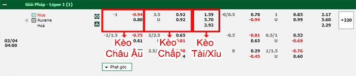 bảng kèo trận đấu Nice vs Auxerre