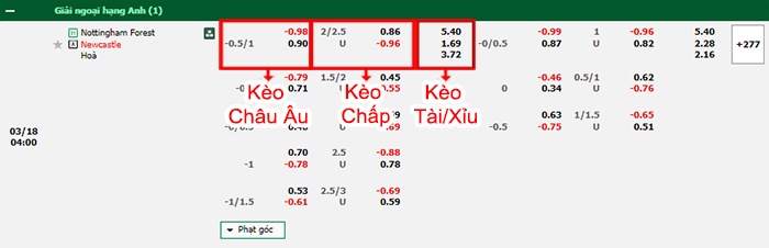 bảng kèo trận đấu Nottingham vs Newcastle