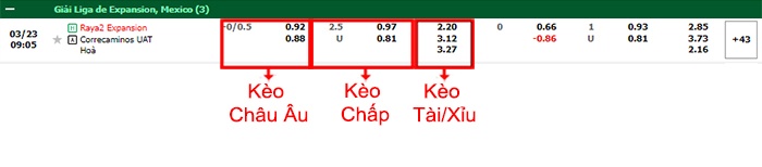 bảng kèo trận đấu Raya2 vs Correcaminos