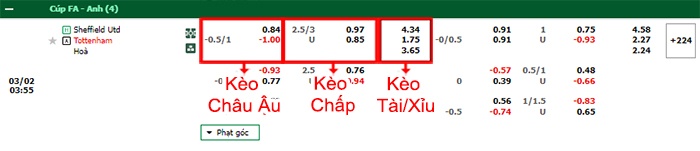 bảng kèo trận đấu Sheffield United vs Tottenham