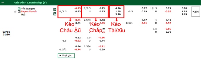 bảng kèo trận đấu Stuttgart vs Bayern Munich