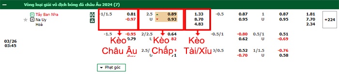 bảng kèo trận đấu Tây Ban Nha vs Na Uy