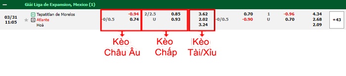 bảng kèo trận đấu Tepatitlan vs Atlante