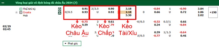 bảng kèo trận đấu Thổ Nhĩ Kỳ vs Croatia