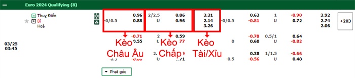 bảng kèo trận đấu Thụy Điển vs Bỉ