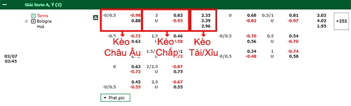 bảng kèo trận đấu Torino vs Bologna