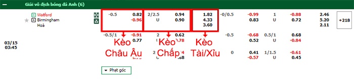 bảng kèo trận đấu Watford vs Birmingham