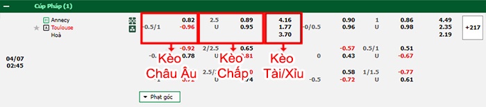 Nhận định soi kèo Annecy vs Toulouse, 01h45 ngày 7/4