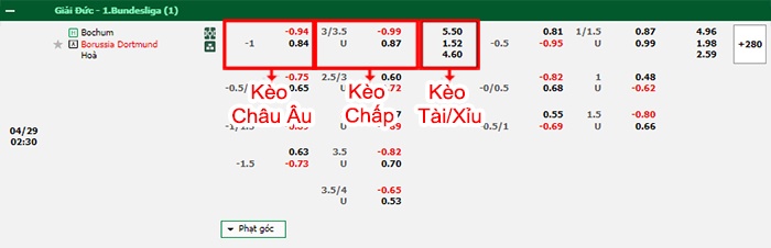 bảng kèo trận đấu Bochum vs Dortmund