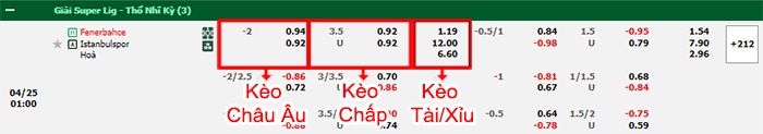 bảng kèo trận đấu Fenerbahce vs Istanbulspor