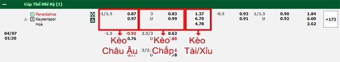 bảng kèo trận đấu Fenerbahce vs Kayserispor