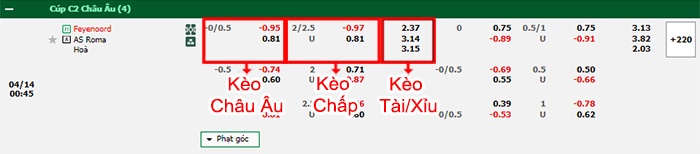bảng kèo trận đấu Feyenoord vs AS Roma