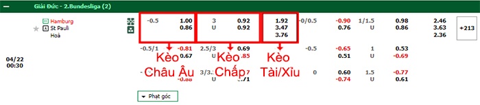 bảng kèo trận đấu Hamburger vs St. Pauli