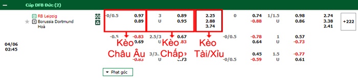 bảng kèo trận đấu Leipzig vs Dortmund