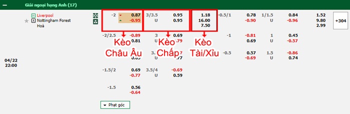 bảng kèo trận đấu Liverpool vs Nottingham