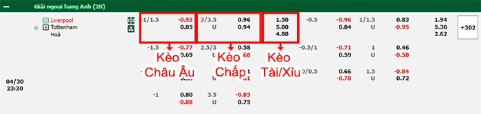 bảng kèo trận đấu Liverpool vs Tottenham