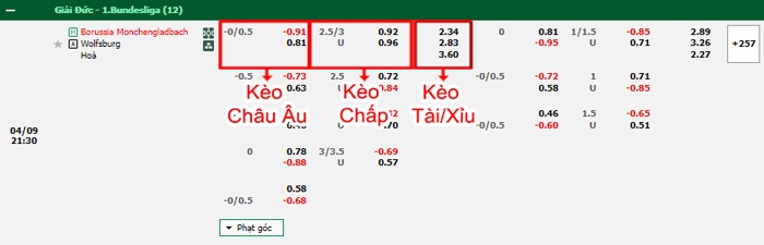 bảng kèo trận đấu Monchengladbach vs Wolfsburg