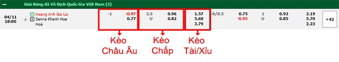 bảng kèo trận đấu Nam Định vs SLNA