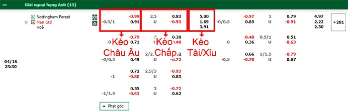 bảng kèo trận đấu Nottingham vs Man United