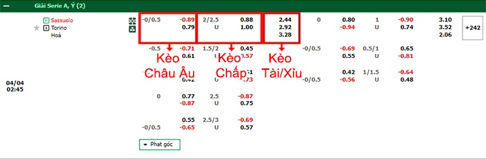 bảng kèo trận đấu Sassuolo vs Torino
