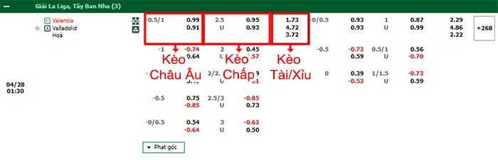 bảng kèo trận đấu Valencia vs Valladolid